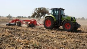 Production de blé au Burkina : le ministère de l’Agriculture concrétise les ambitions du Président Ibrahim Traoré